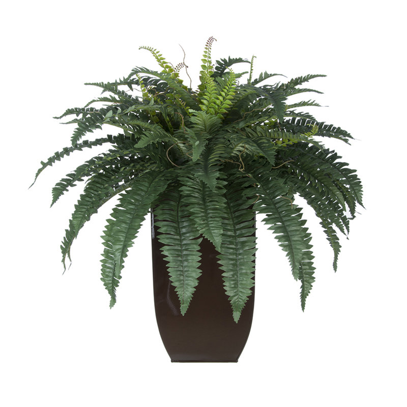 Latitude Run® 12" Artificial Fern Plant in Pot Wayfair